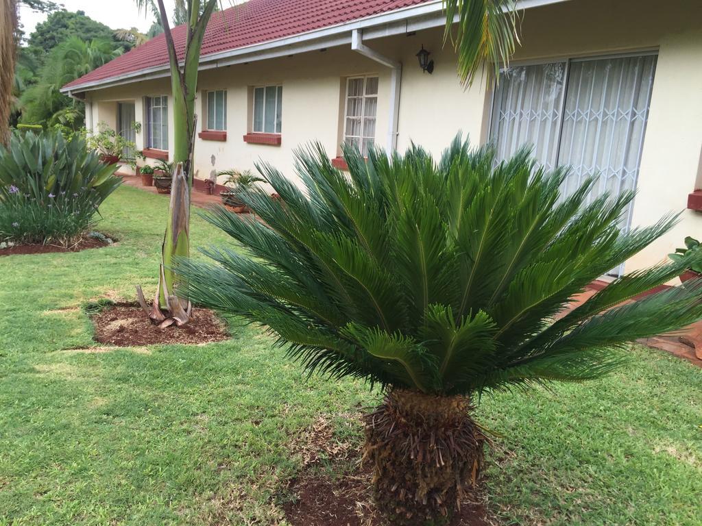Palm Villa Harare Exterior photo